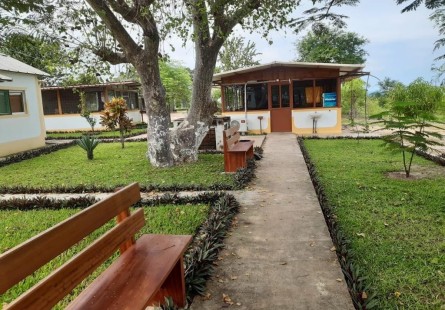 Fazenda de 5.000 hectares, na comuna do Cassoneca, município de Ícolo e Bengo, Bengo.