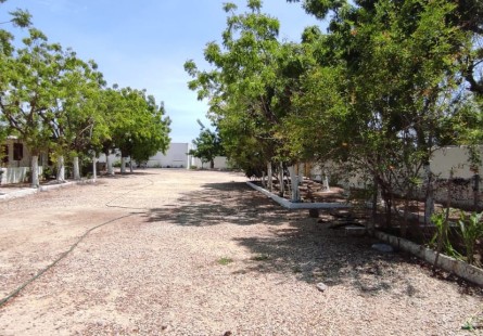 Fazenda 2 Hectares à Venda Zona Segura Investimento Rural