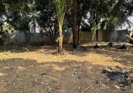 Anúncio Vendo Terreno No Nova Vida